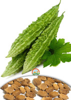 Agro Max Bitter Gourd Export Quality Vegetable Seed(20 per packet) RS.95.00