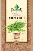 Pyramid Green Chilli, Chili pepper Seed(100 per packet)