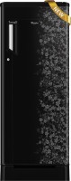 Whirlpool 190 L Direct Cool Single Door 3 Star Refrigerator with Base Drawer(Midnight Bloom, 205 IM PC Roy 5S)