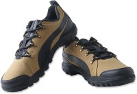 PUMA Silicis lo HC DP Outdoor Shoes For Men(Brown)