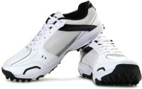 Vector X Prospeed Cricket Shoes For Men(Multicolor)
