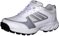 Dekkam Bullz D-77-CricketStuded Cricket Shoes For Men(White)