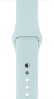 APPLE MLDT2ZM/A Turquoise Smart Watch Strap(Blue)