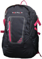 Red Pillar Yamuna 25 Adventure(Multicolor, Rucksack) Red Pillar Yamuna 25 Adventure(Multicolor, Rucksack)