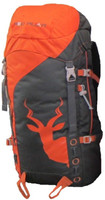 Red Pillar Alang 45 Adventure(Multicolor, Rucksack) Red Pillar Alang 45 Adventure(Multicolor, Rucksack)