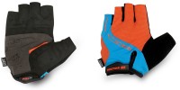 Vector X RIDER Cycling Gloves (L, Multicolor)