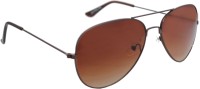 Sellebrity Aviator Sunglasses(For Men & Women, Brown)