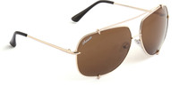 Amaze Oval Sunglasses(Brown) RS.299.00