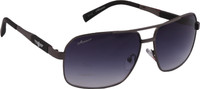 Amaze Rectangular Sunglasses(Black, Grey) RS.599.00