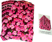 Amita Home Furnishing Multicolor Table Linen Set(Pack of 12) RS.349.00