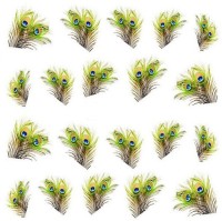 SENECIO� 20 Peacock Feathers Temporary Nail Tattoo Pack(Feather) - Price 119 60 % Off  