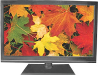 Salora 59 cm (23.22 inch) HD Ready LED TV(SLV 2401)