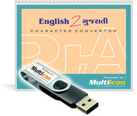 Multiicon E2G Character Convertor(Lifetime, 1 PC)