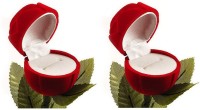 Abhinidi Pack Of2 Rose Flower Ring Case Box Vanity Box(Red) - Price 183 84 % Off  