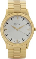 Titan NH1650YM01 Karishma Analog Watch  - For Men   Watches  (Titan)