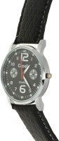 Casela ARS3179 Sporty Analog Watch For Unisex