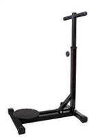 SBR Sports Heavy Duty Twister with Stand Ab Exerciser For Men & Women Fitness Exercise Ab Exerciser(Black)