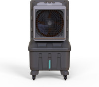 BAJAJ 100 L Desert Air Cooler(Grey, XForce 100)
