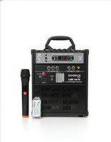 dadson INF-40 250 W AV Power Amplifier(Black)