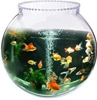 goblet Decorative Round Ends Aquarium Tank(4.5 L)