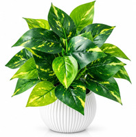 LYNALIVING Artificial Money Plant with White Ceramic Pot | Decor for Home, Office | 16cm Artificial Plant  with Pot(16 cm, Green)