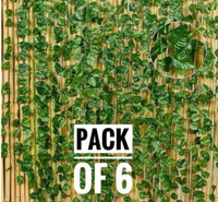 firstbuy Set of 6 MONEY PLANT CREEPER FOR WALL, GARDEN DECORATION Pack of 6(Green)