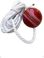 nizex Leather Cricket Hanging Ball For Knock Practice /Red Color -AT17 Cricket Training Ball(Standard, Pack of 1, Red)