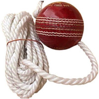 Weber Leather Cricket Hanging Ball ,Red , For Cricket Shot Practice , 1 ball TG138 Cricket Training Ball(Standard, Pack of 1)