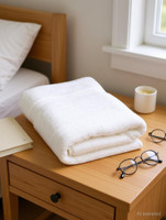 The Wholeseller Cotton 400 GSM Bath Towel