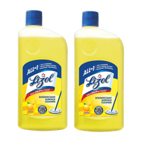 Lizol Disinfectant Surface Cleaner - Citrus(2 x 0.62 L)