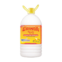 GAINDA White Phenyle Disinfectant Floor Cleaner - Plain(5 L)