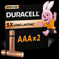 DURACELL Alkaline AAA2, Everyday Devices, Clock, Toy, Remote  Battery(Pack of 2)