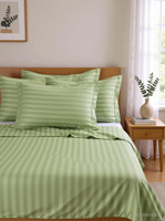 eleganzze Cotton King Flat 300 TC Striped 1 Bedsheet with 2 Pillow Covers(Olive Green)