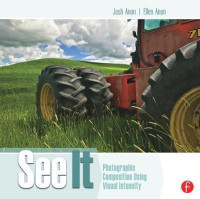 See It: Photographic Composition Using Visual Intensity(English, Paperback, Anon Josh)