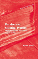 Marxism and Historical Practice (2 Vols)(English, Book, Palmer Bryan D.)