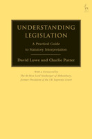 Understanding Legislation(English, Hardcover, Lowe David)