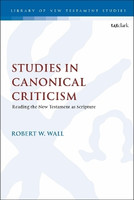 Studies in Canonical Criticism(English, Paperback, Wall Robert W. Prof.)
