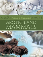 Animals Illustrated: Arctic Land Mammals(English, Hardcover, unknown)