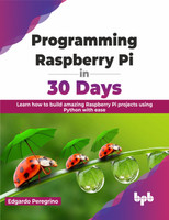 Programming Raspberry Pi in 30 Days(English, Paperback, Peregrino Edgardo)