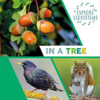 Explore Ecosystems: In a Tree(English, Hardcover, Ridley Sarah)