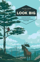 Look Big(English, Paperback, Levin Rachel)