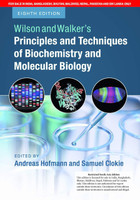 Wilson and Walkers Principles and Techniques of Biochemistry and Molecular Biology(English, Paperback, unknown)