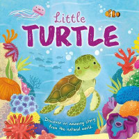 Nature Stories: Little Turtle-Discover an Amazing Story from the Natural World(English, Board book, Igloobooks)
