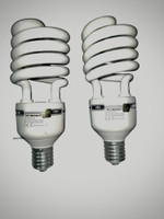 skybright 80 W Eye Safety Compliance Spiral E40 CFL Bulb(White, Pack of 2)