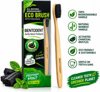 bentodent Activated Charcoal Toothpaste with a Soft Charcoal Bamboo Toothbrush(2 Items in the set)