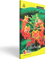 Classmate Longbook Regular Notebook unruled 160 Pages(Multicolor, Pack of 6)