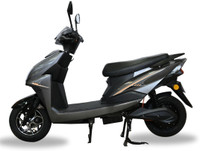 Green Invicta Grey 80KM Booking for Ex-Showroom Price (with Portable Charger, Grey)