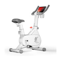 Lifelong LLSBB49 Fit Pro Spin Fitness Upright Stationary Exercise Bike(White)