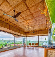 Das Departmental Store Garden Fencing | Restaurant Wall | Cottage Design | Size 15x5 Feet | Room Part | Bamboo Plain Screen Partition(Floor Standing, Finish Color - Golden, DIY(Do-It-Yourself))