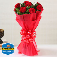 FNP Fresh Red Carnations Bouquets(8 Flowers)